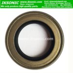 TCN Oil seal high pressure factory iksonic